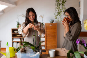 Circular Economy at Home in Mexico: Practical Steps for Sustainable Living